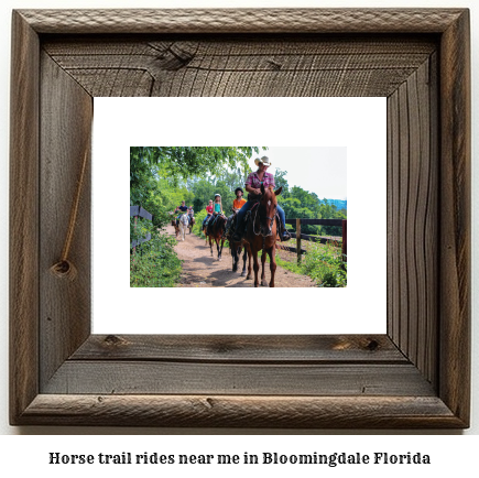 horse trail rides near me in Bloomingdale, Florida